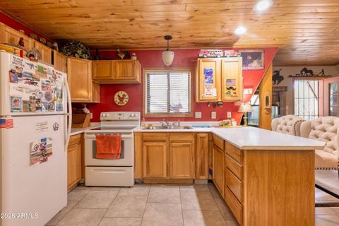3155 Aspen Road Overgaard AZ 85933
