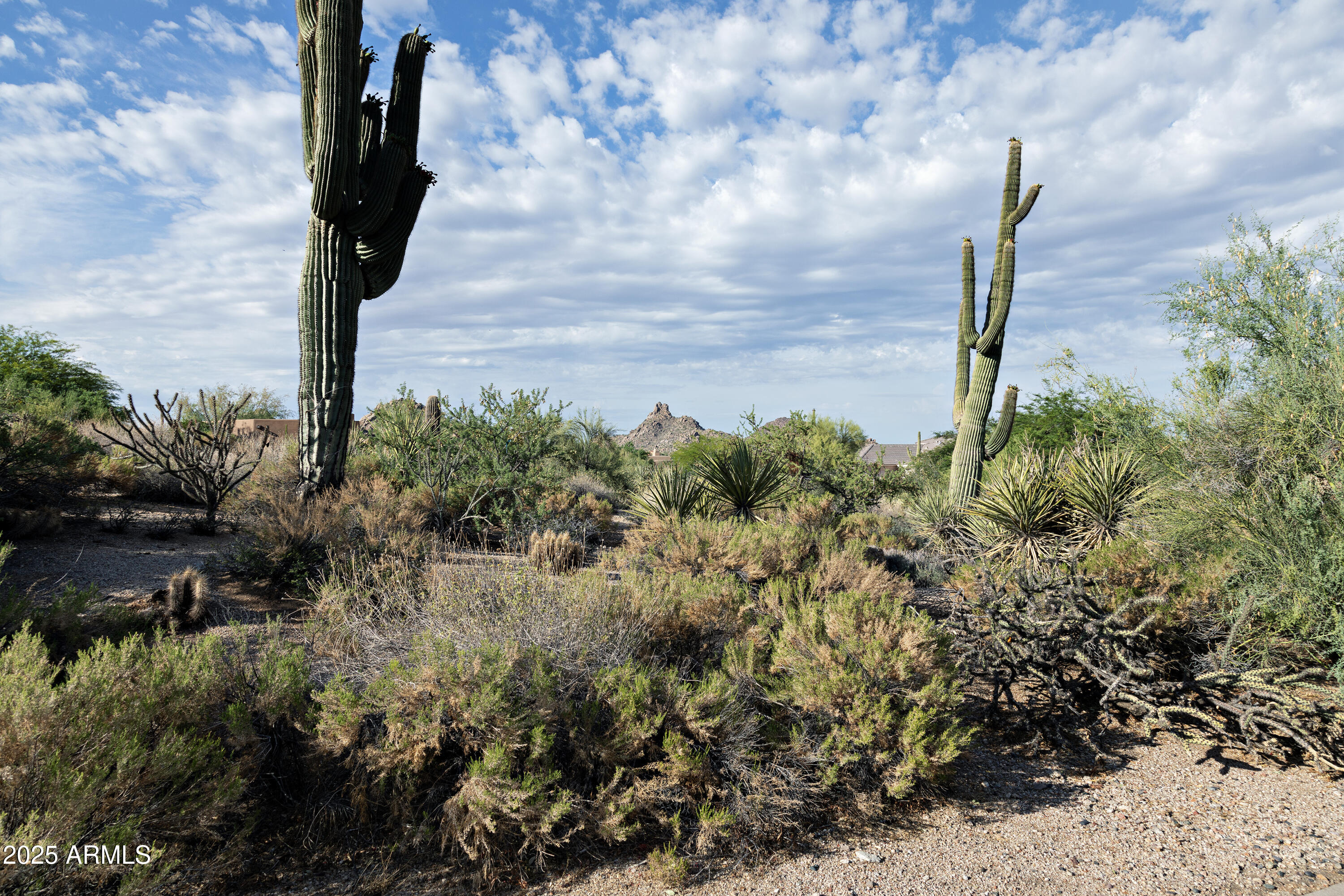 Scottsdale, Arizona 85262, United States, ,Land,Active,162728