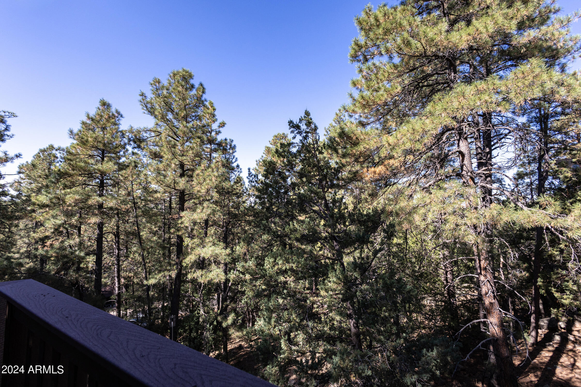 17940 S GREEN MOUNTAIN Place
