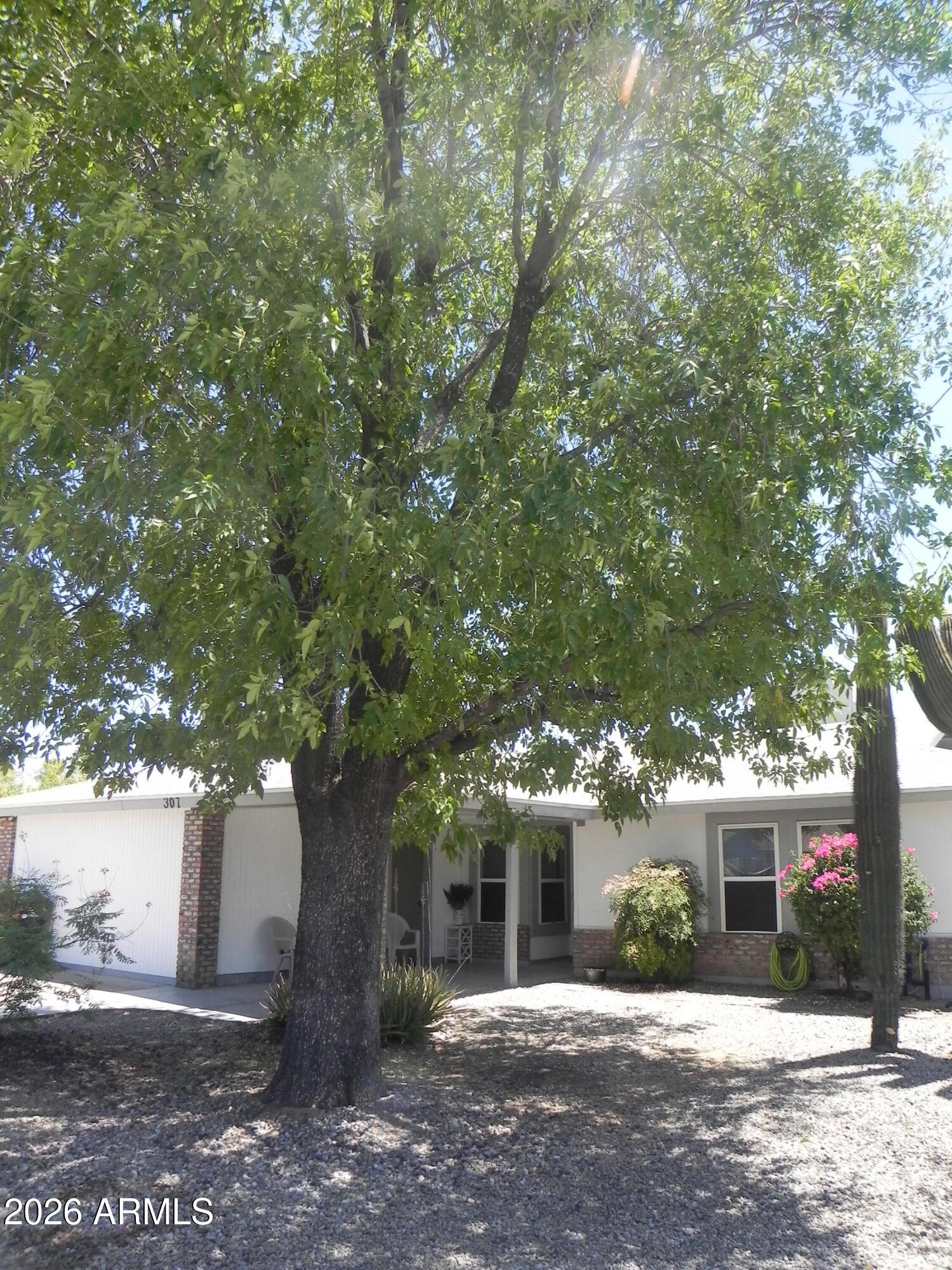 307 W TARO Lane
