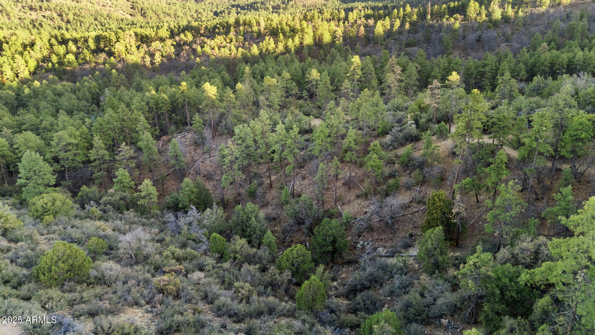 HIGHLAND PINES PROPERTIES - Land