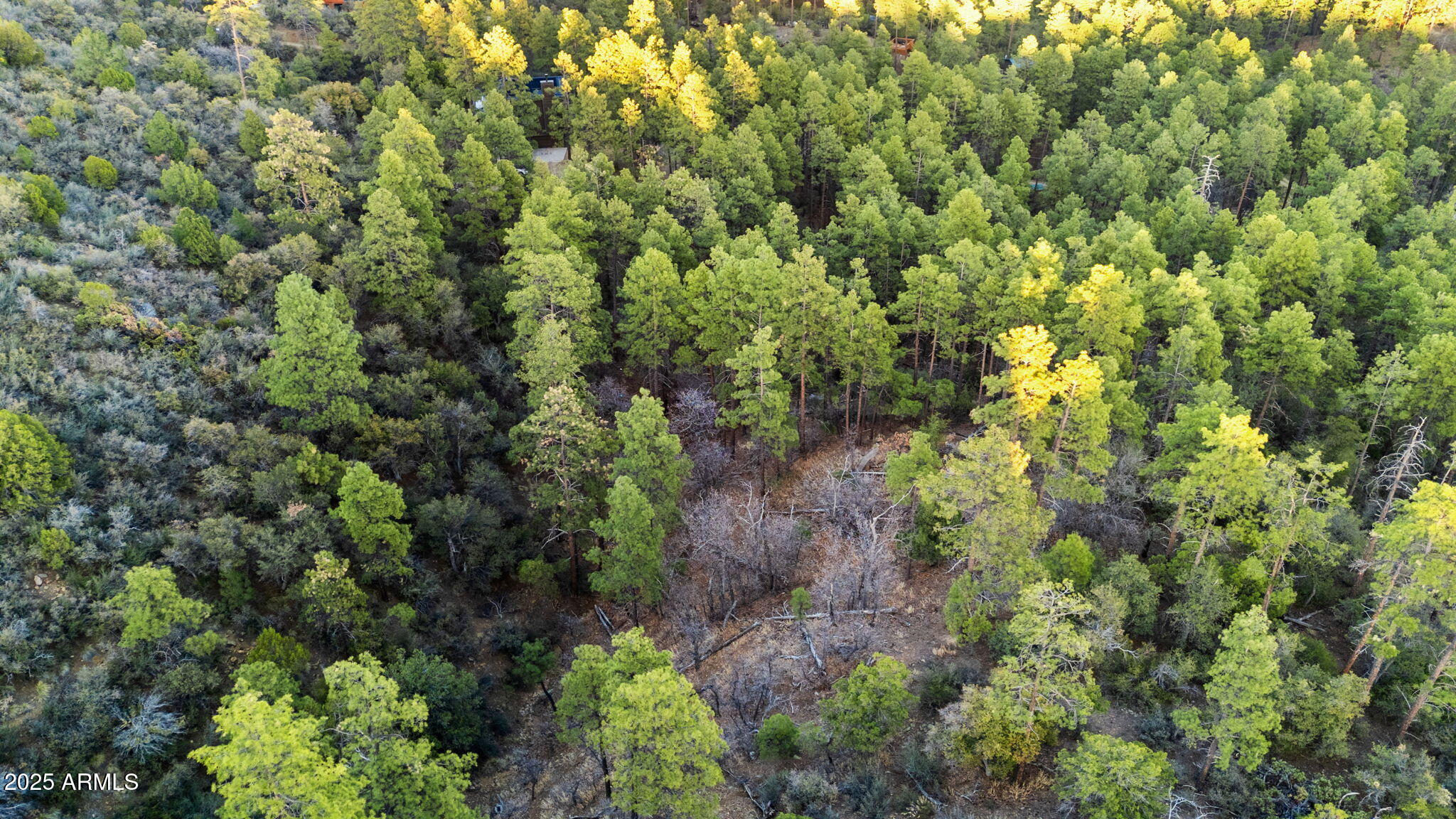 HIGHLAND PINES PROPERTIES - Land