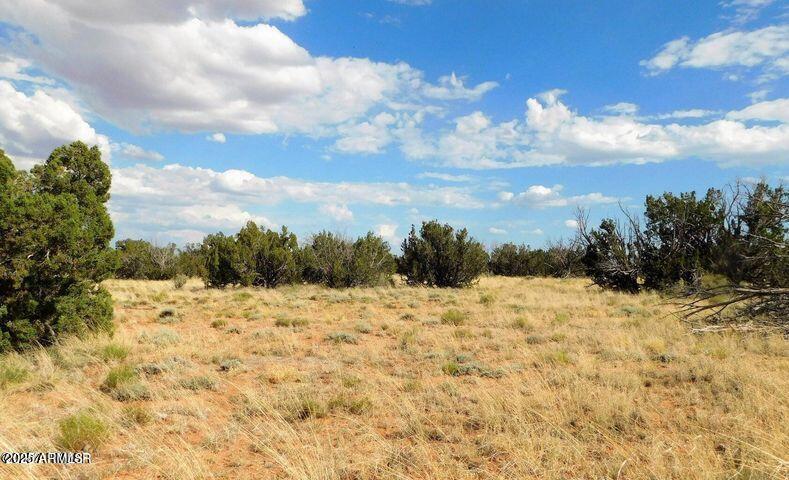 6251 Dry Pasture Run Lot 216 -- 216