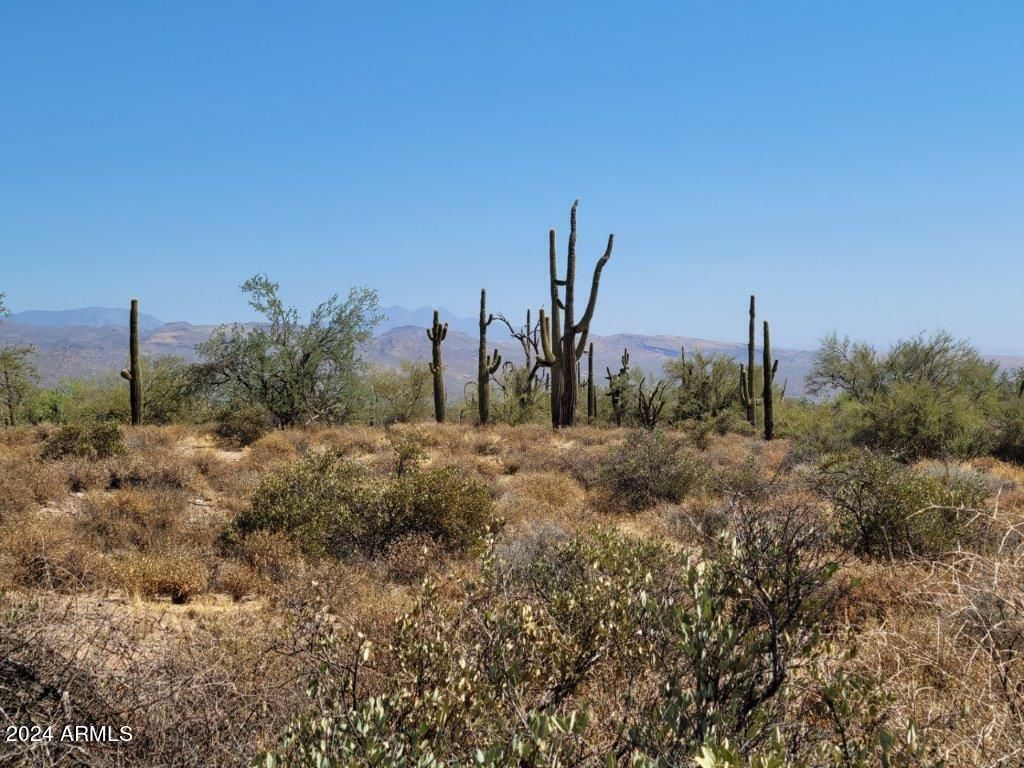 Photo of 17 E Gloria Lane #-, Rio Verde, AZ 85263 (MLS # 6943296)