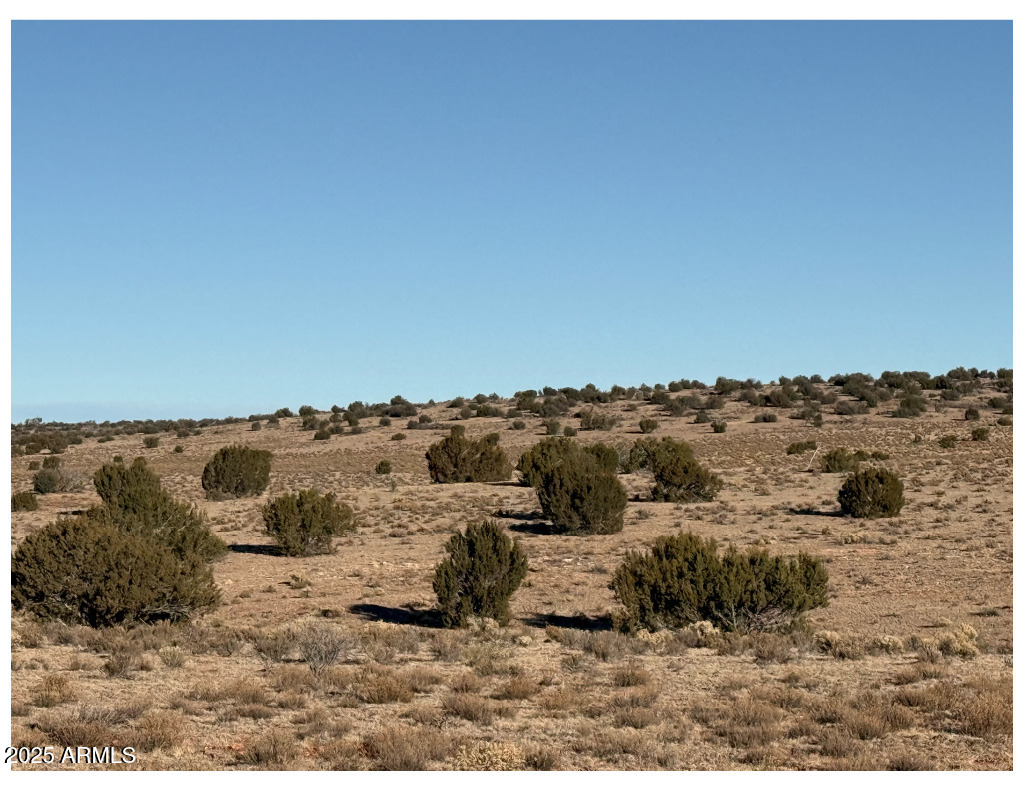 10381 High Butte Drive -