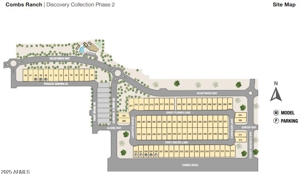 4161 E FAIRY DUSTER Lane