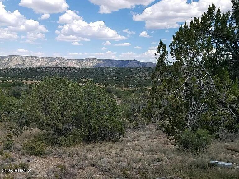 56766 N BRIDGE CANYON Parkway 4367