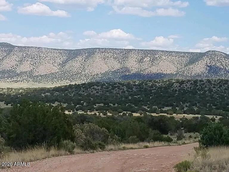 56766 N BRIDGE CANYON Parkway 4367