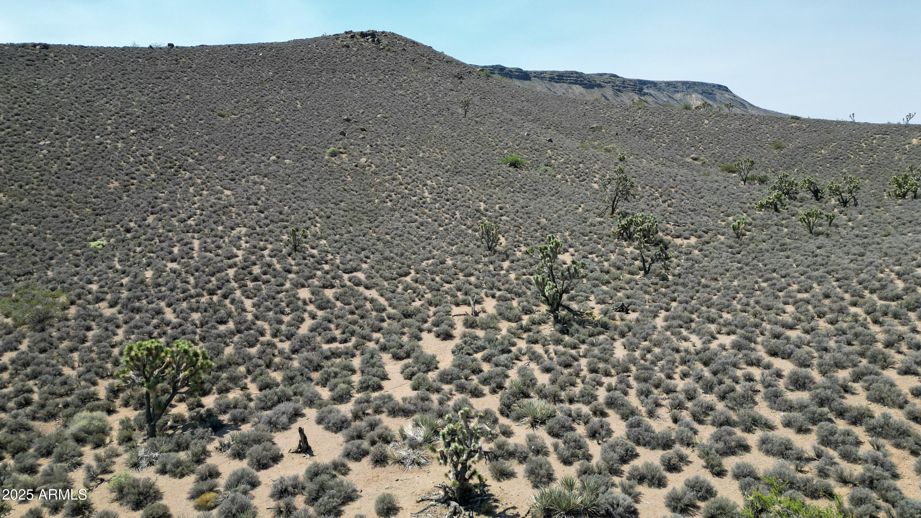 000 W Butcher Camp Road -