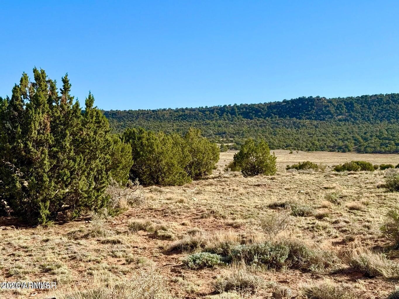 Pinon Valley Ranch - Land
