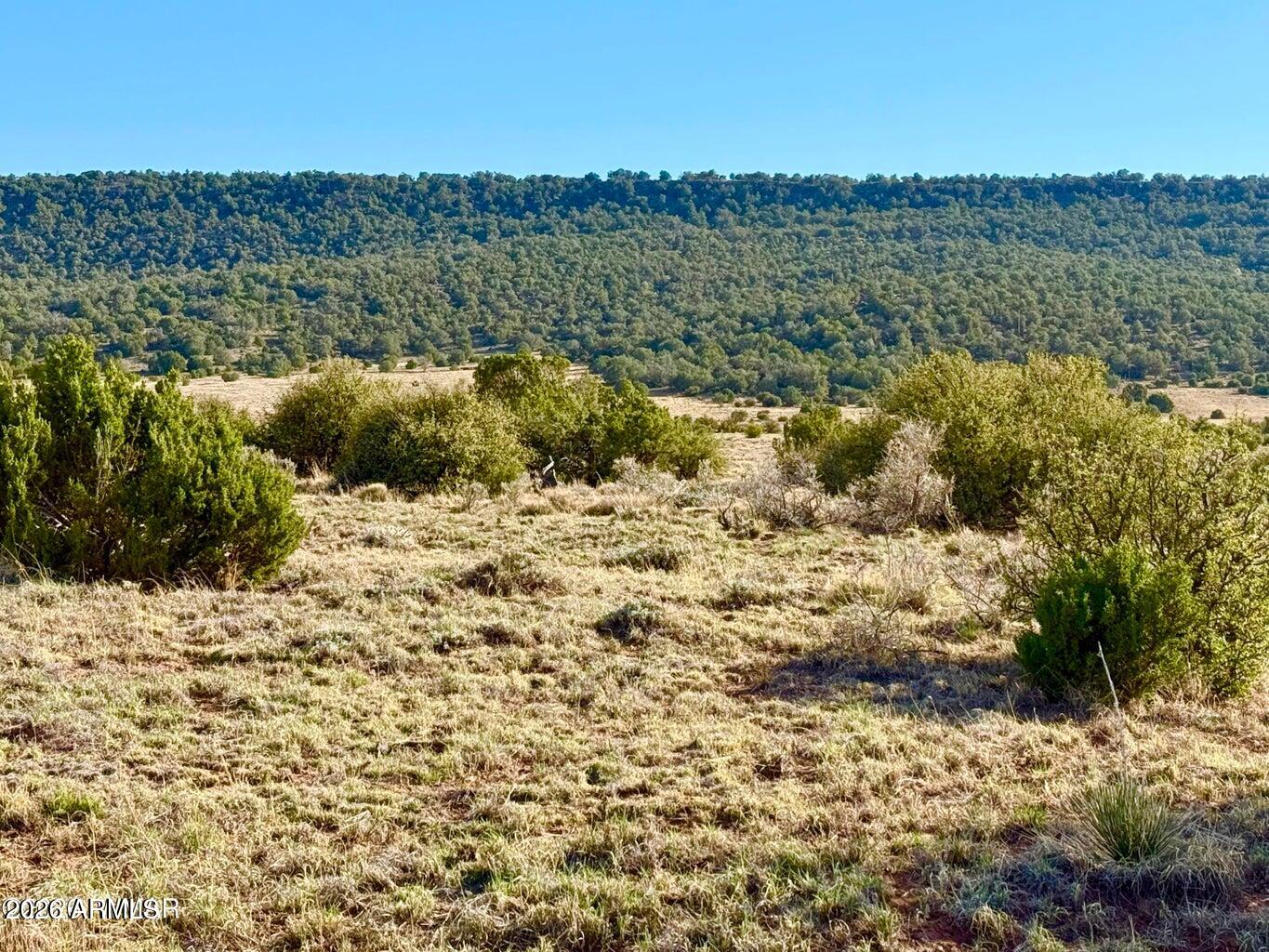 Pinon Valley Ranch - Land