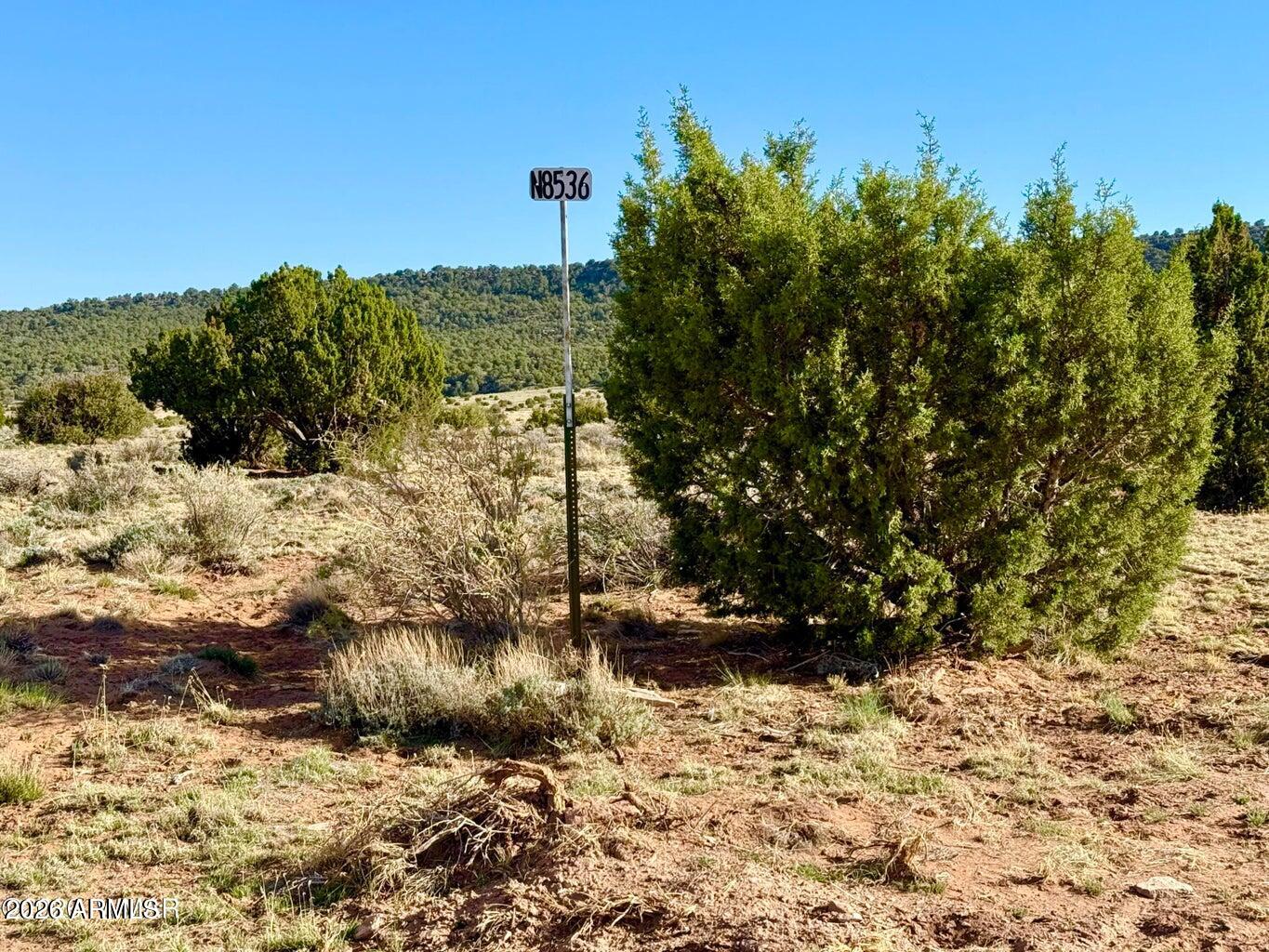 Pinon Valley Ranch - Land