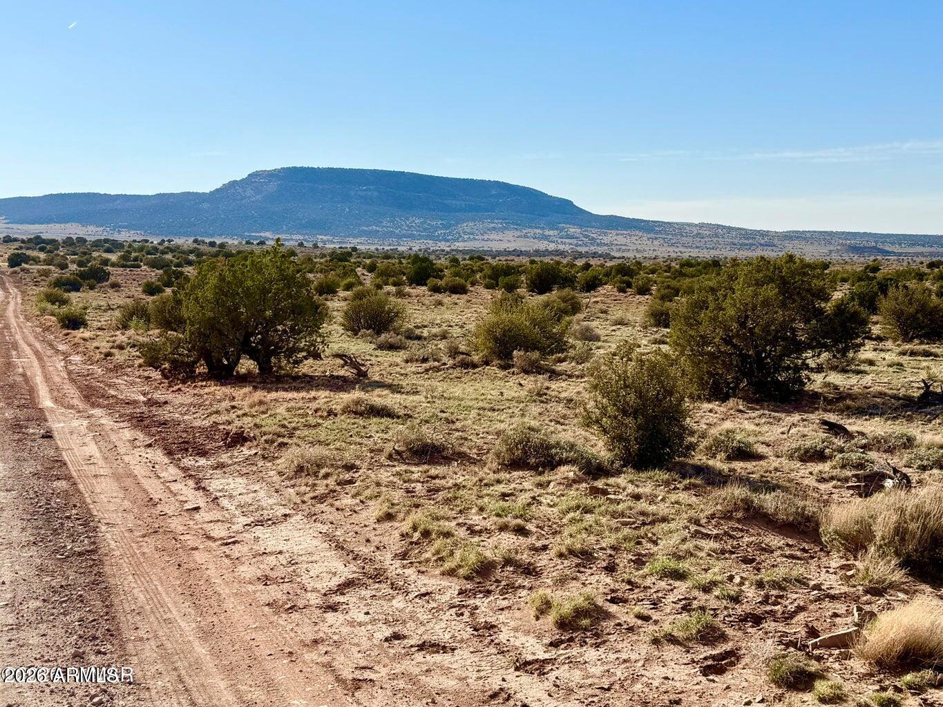 Pinon Valley Ranch - Land