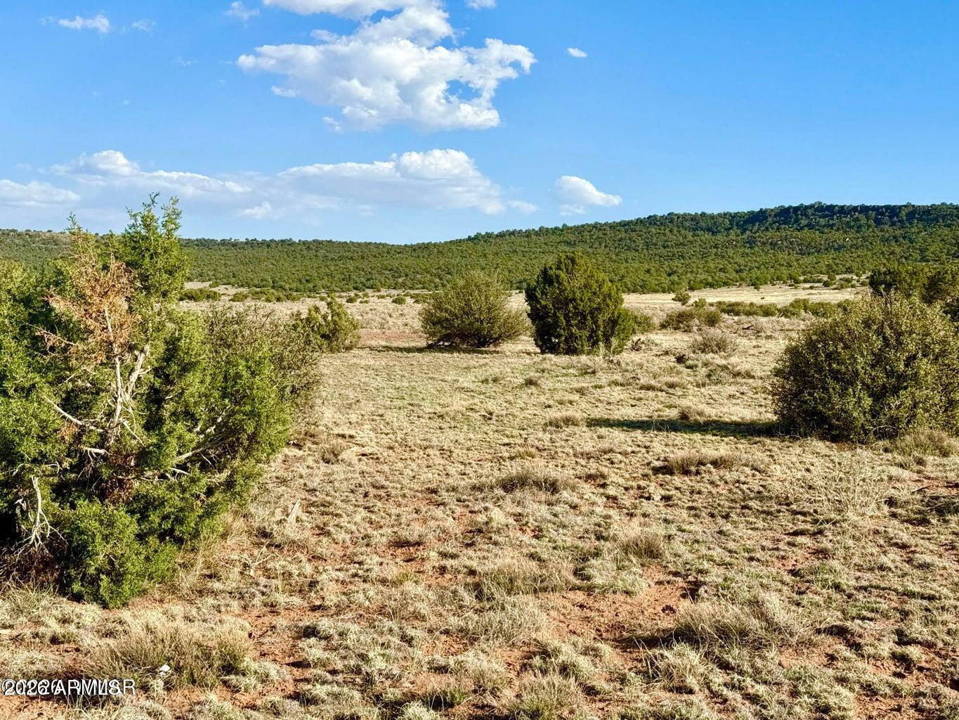 Pinon Valley Ranch - Land