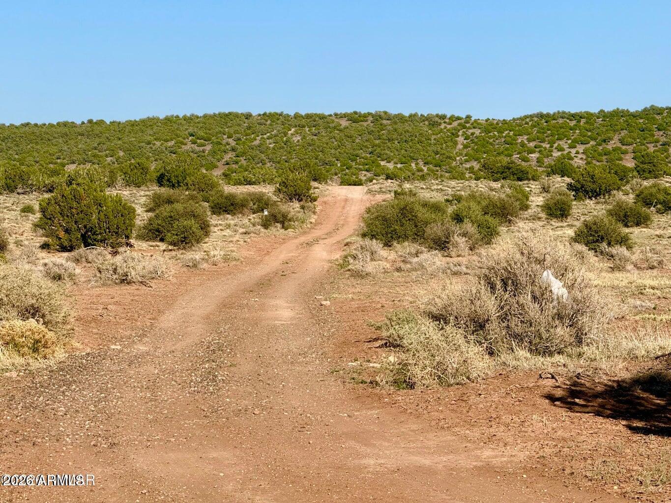 Pinon Valley Ranch - Land