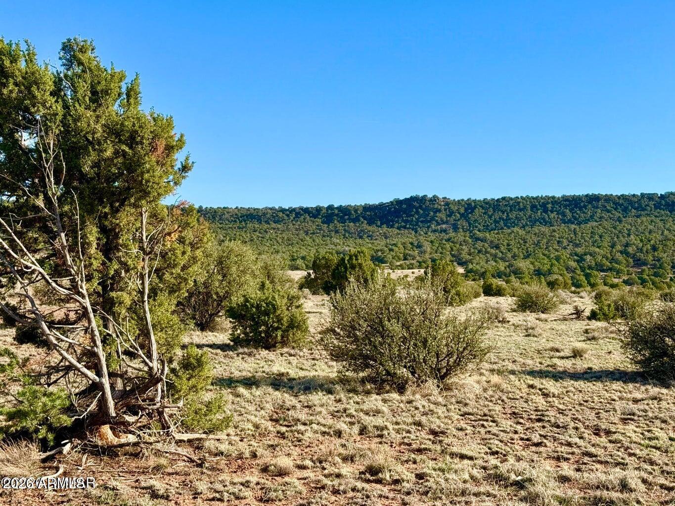 Pinon Valley Ranch - Land