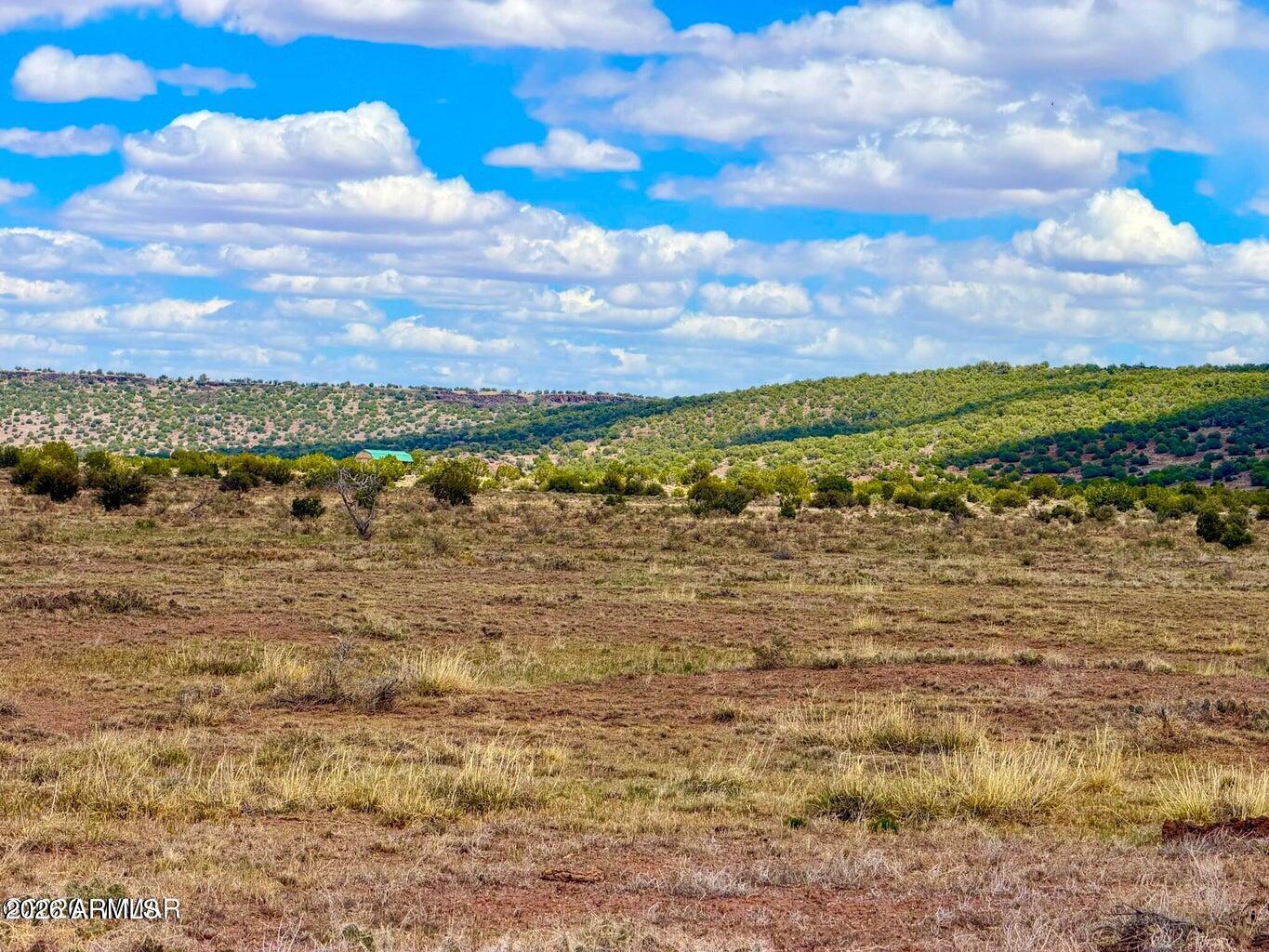 Pinon Valley Ranch - Land