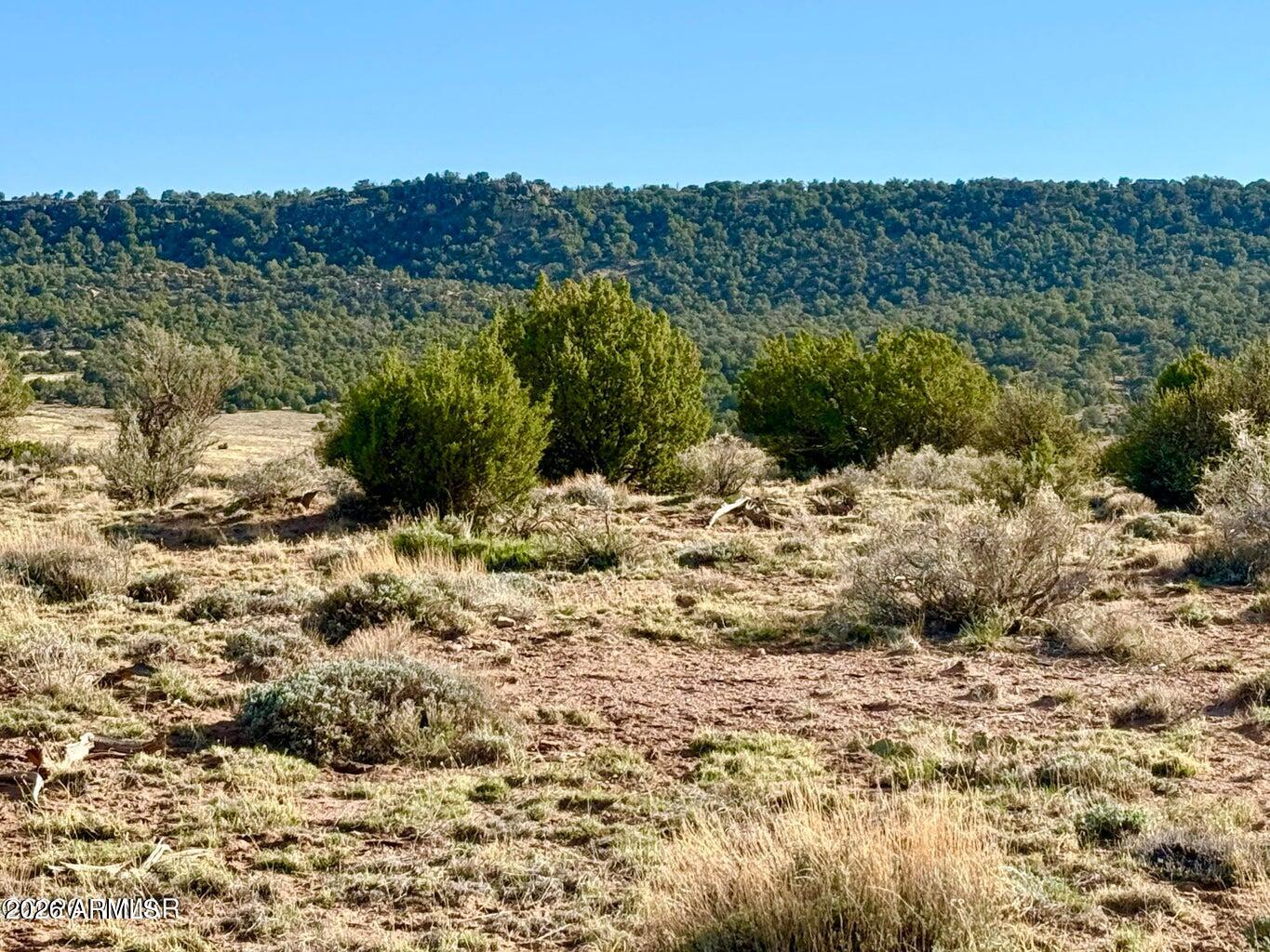 Pinon Valley Ranch - Land