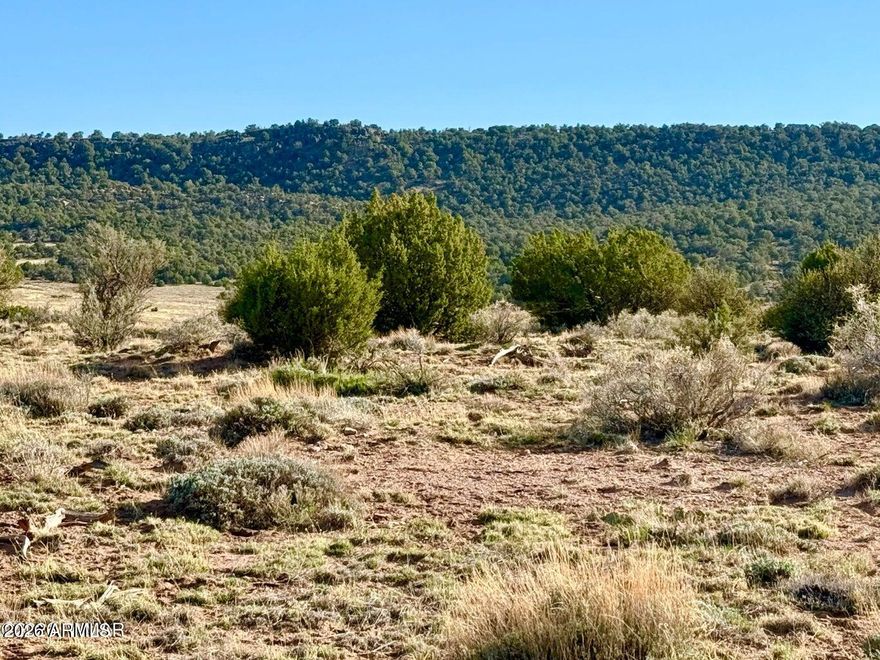 Amazing property on an excellent County maintained road that already has an installed septic system! Level for easy building, roads
on 3 sides and 360-degree mountain views. Easey access, immaculate neighbors yet with still a ton of privacy.... this property is the
best of all worlds!