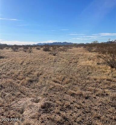 Homes 2 000 W Ocotillo Road 3