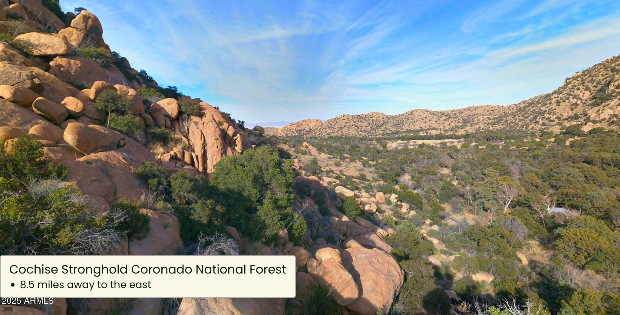 DRAGOON MOUNTAIN RANCH 1 FOOTHILLS - Land