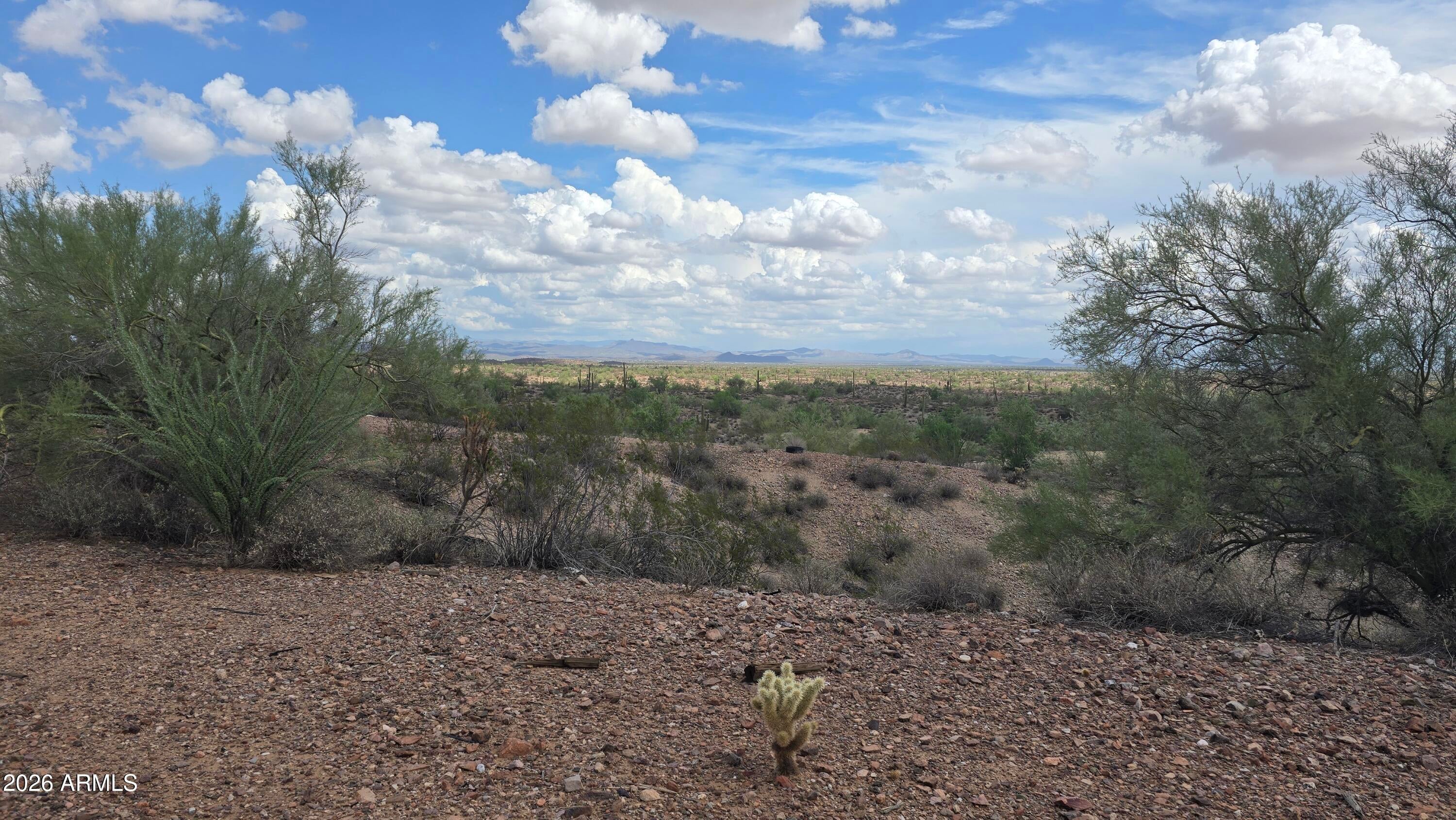 29140 W PAINT YOUR WAGON Trail -