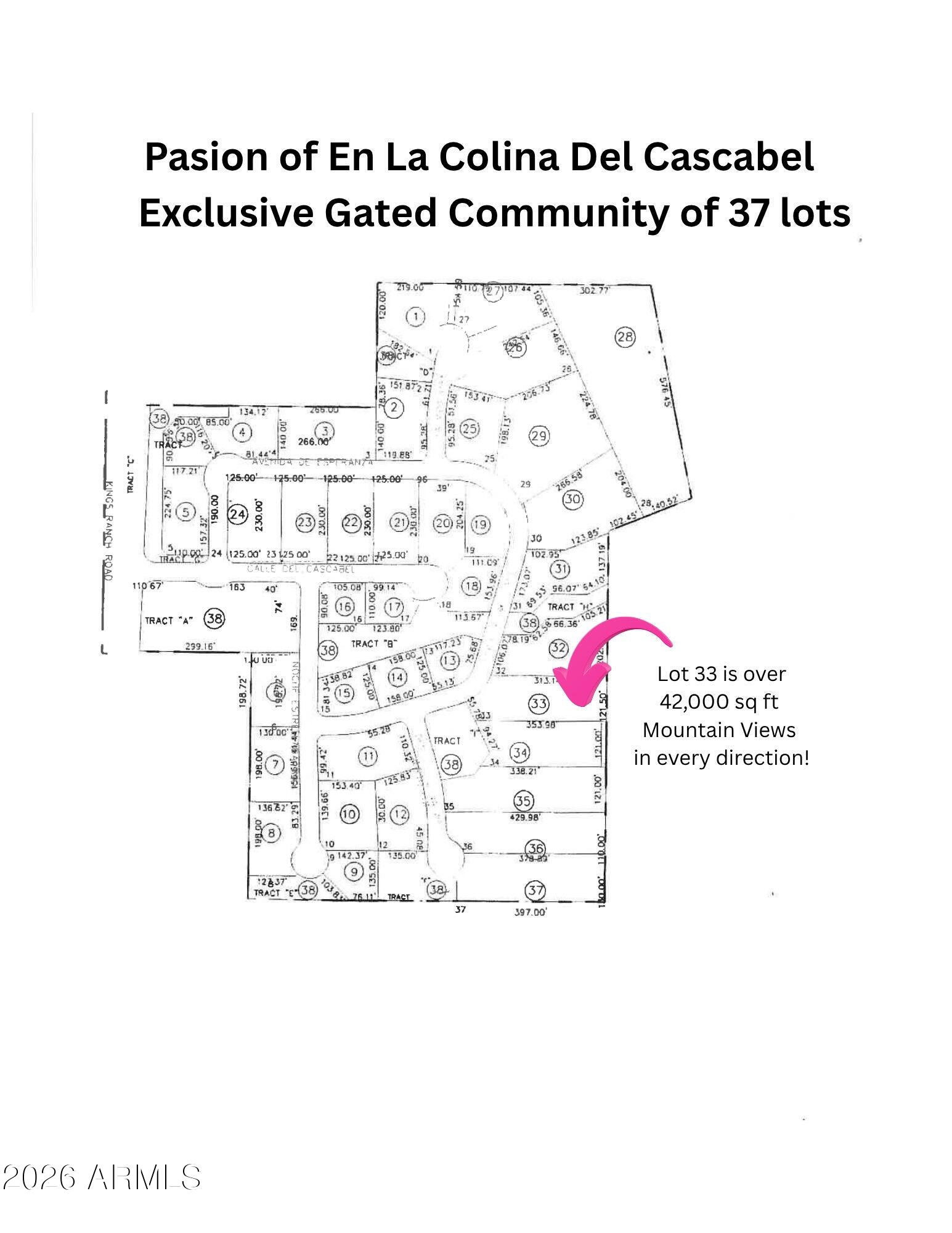 10795 E COPA DEL ORO Lane 33