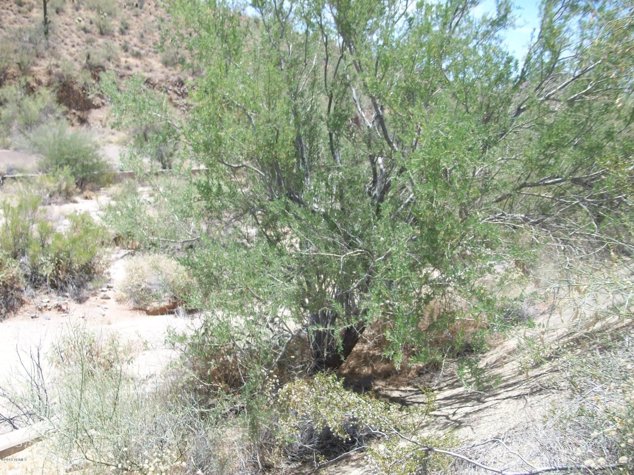 Pinnacle Peak Heights Amd - Land