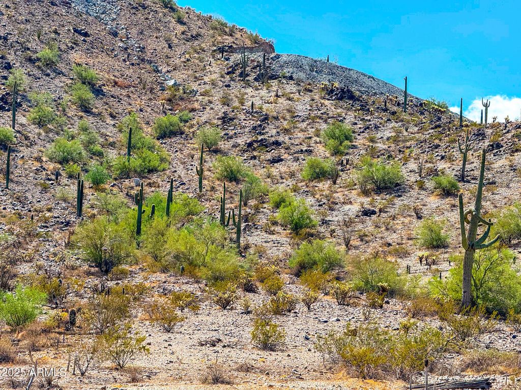 Photo of 0 W Hilldale Rd 7.31 Acres #-, Maricopa, AZ 85139 (MLS # 6928698)