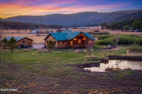 216 County Road 2311 -- Alpine AZ 85920