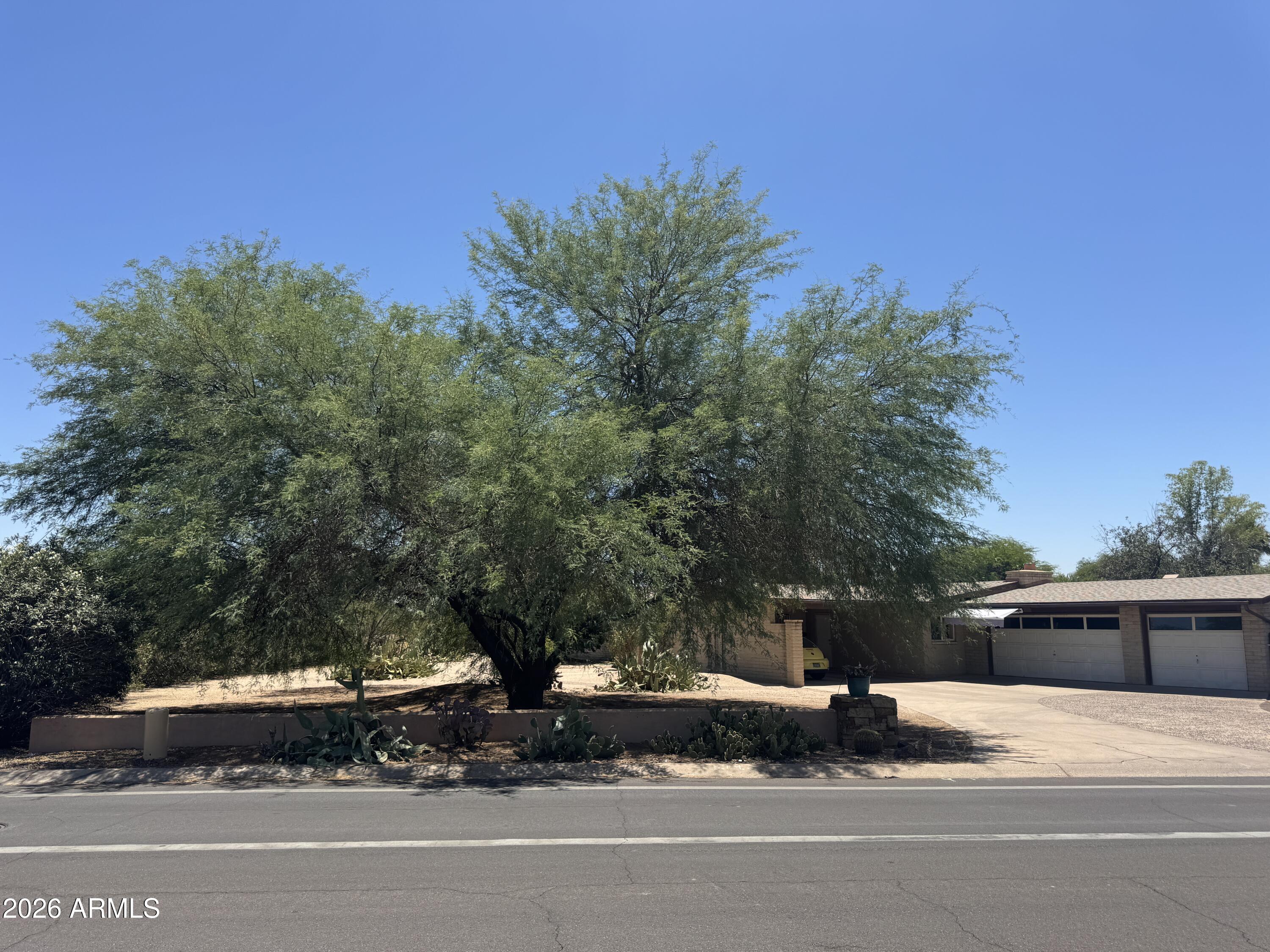 7131 E CHOLLA Street