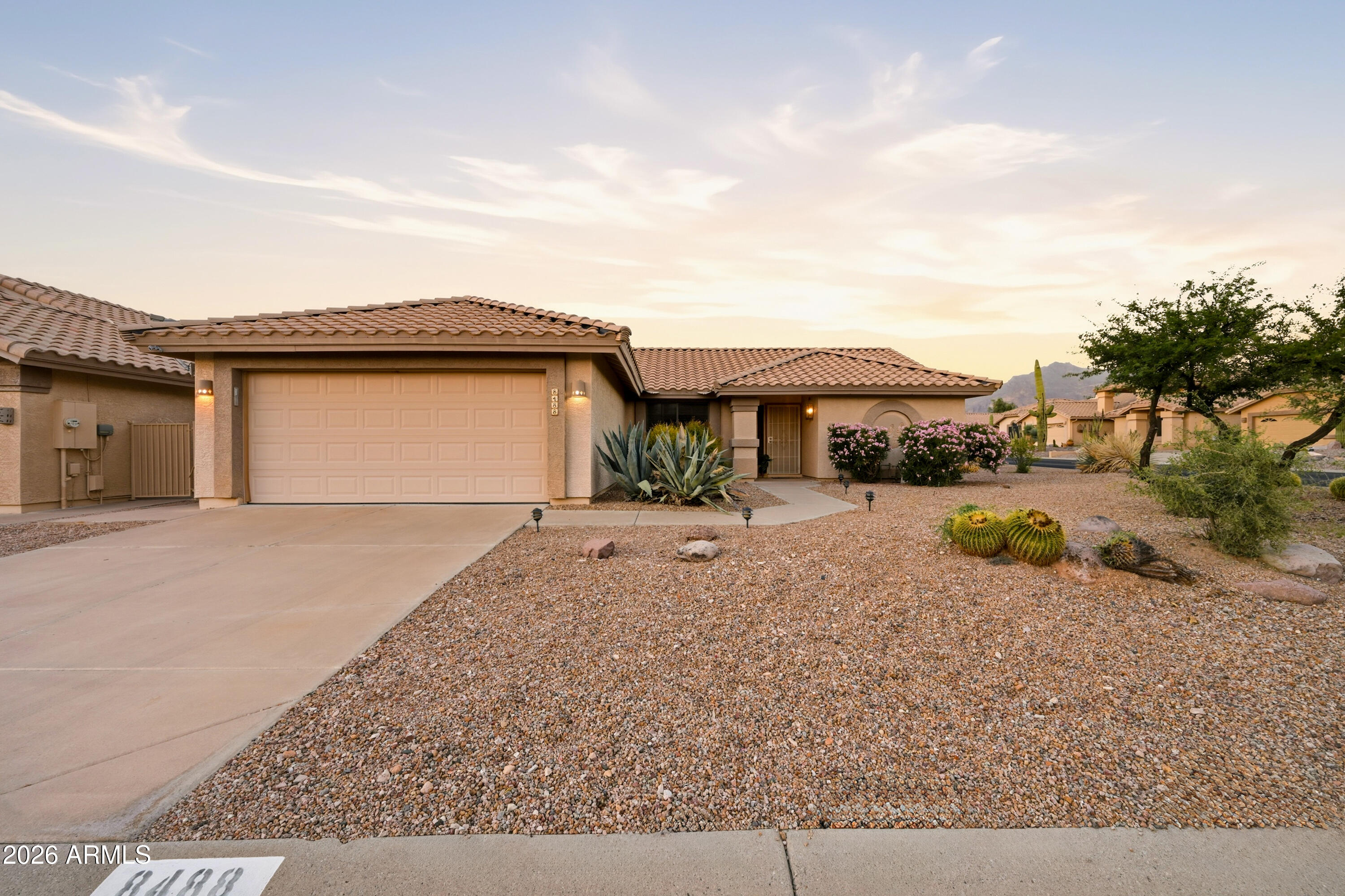 8488 E JUMPING CHOLLA Drive