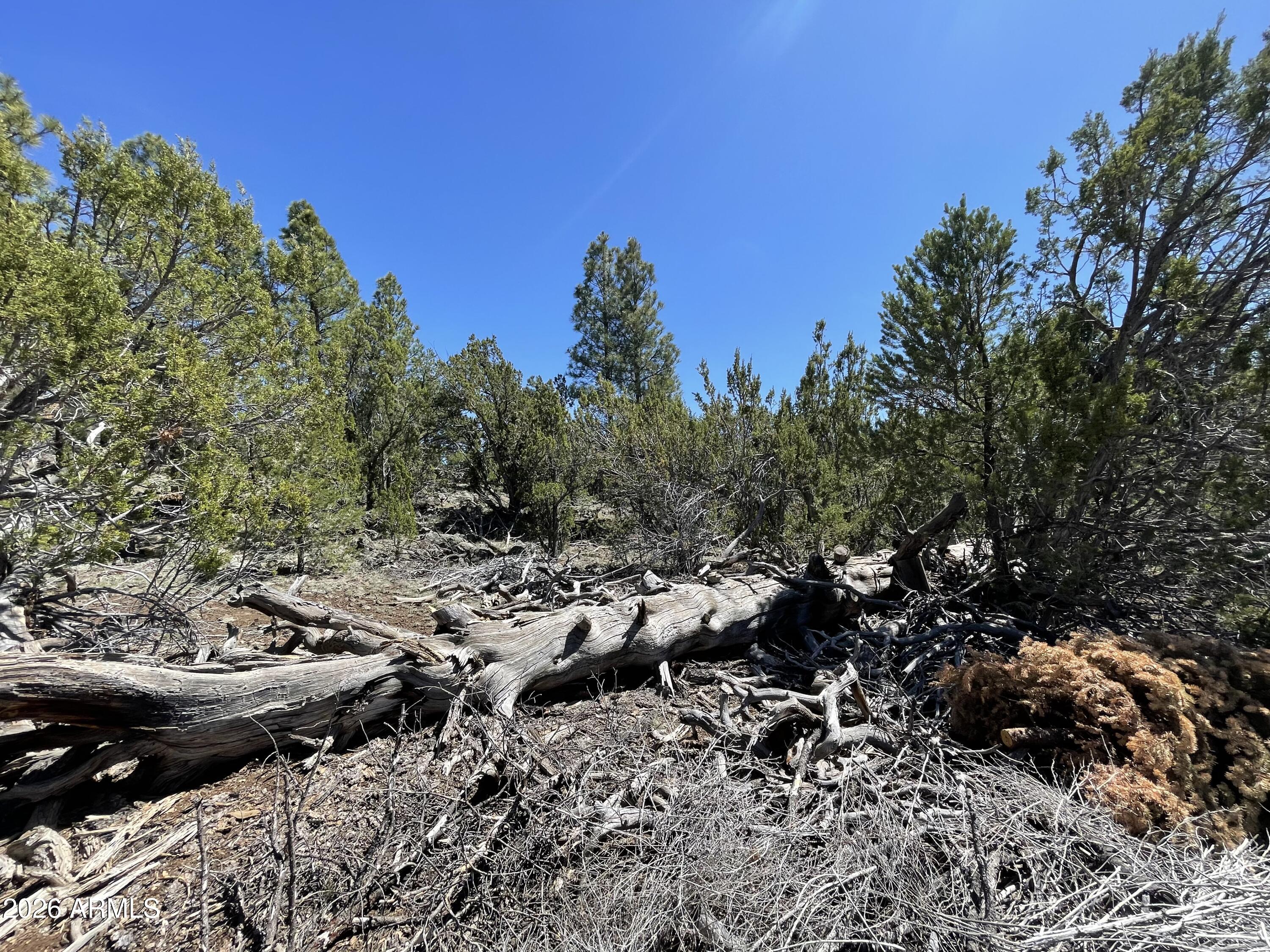 LAKE KAIBAB PARK 2 - Residential