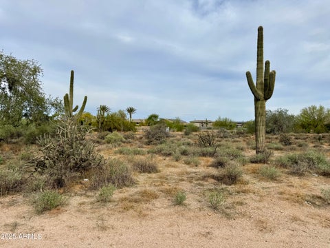 Photo of 27207 N 67th Street #B1, Scottsdale, AZ 85266 (MLS # 7082281)