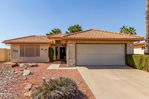 26632 S BRANCHWOOD Court Sun Lakes AZ 85248