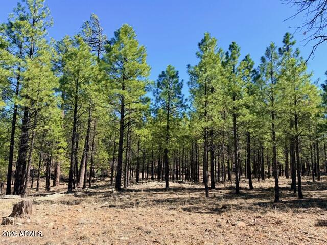 PINE CANYON 3 - Land