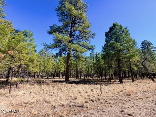 1947 PINE CANYON Drive 171