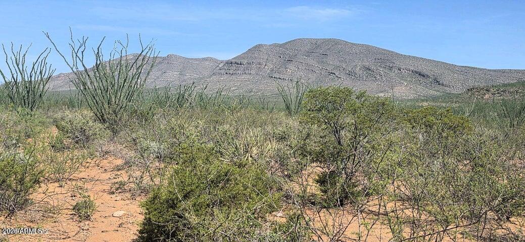 TBD E Windmill Road -