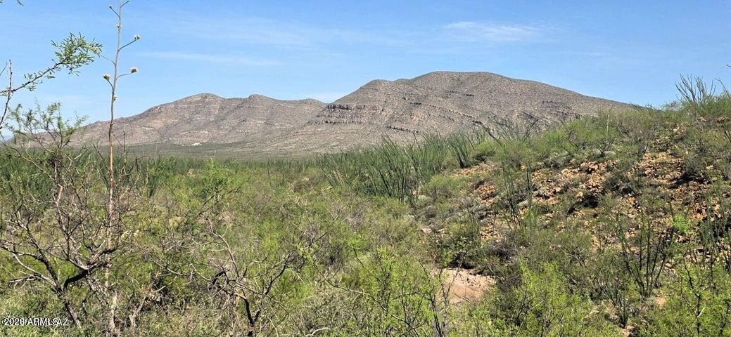 TBD E Windmill Road -