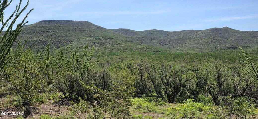 TBD E Windmill Road -