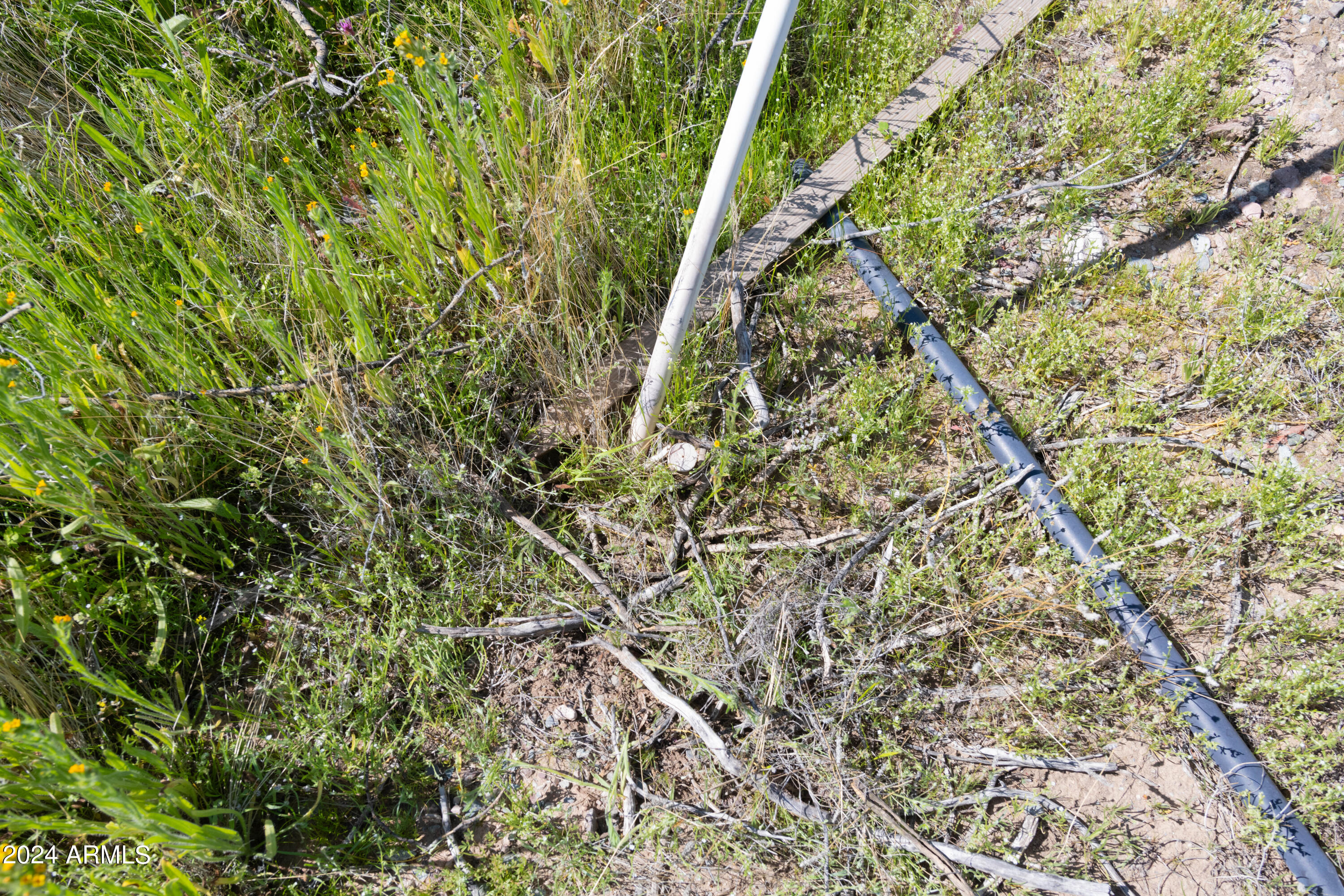 10 ACRES N 407th Avenue 4