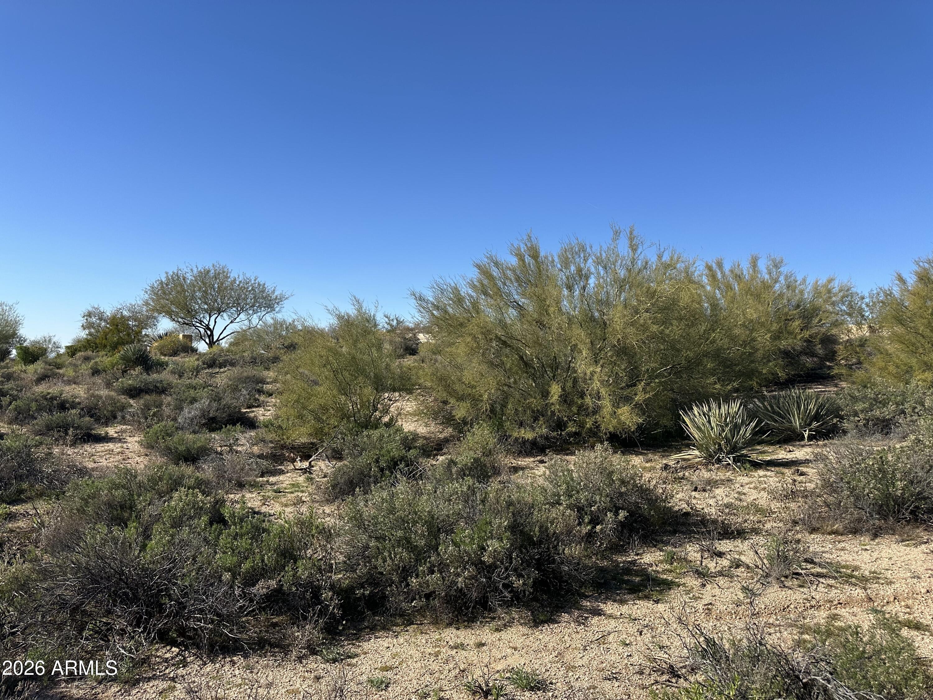 DESERT MOUNTAIN - Land
