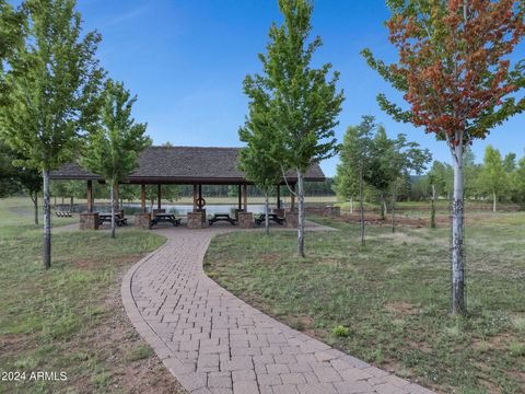 A home in Munds Park