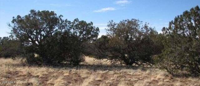 tbd Chevelon Canyon Ranch 363 -- 363