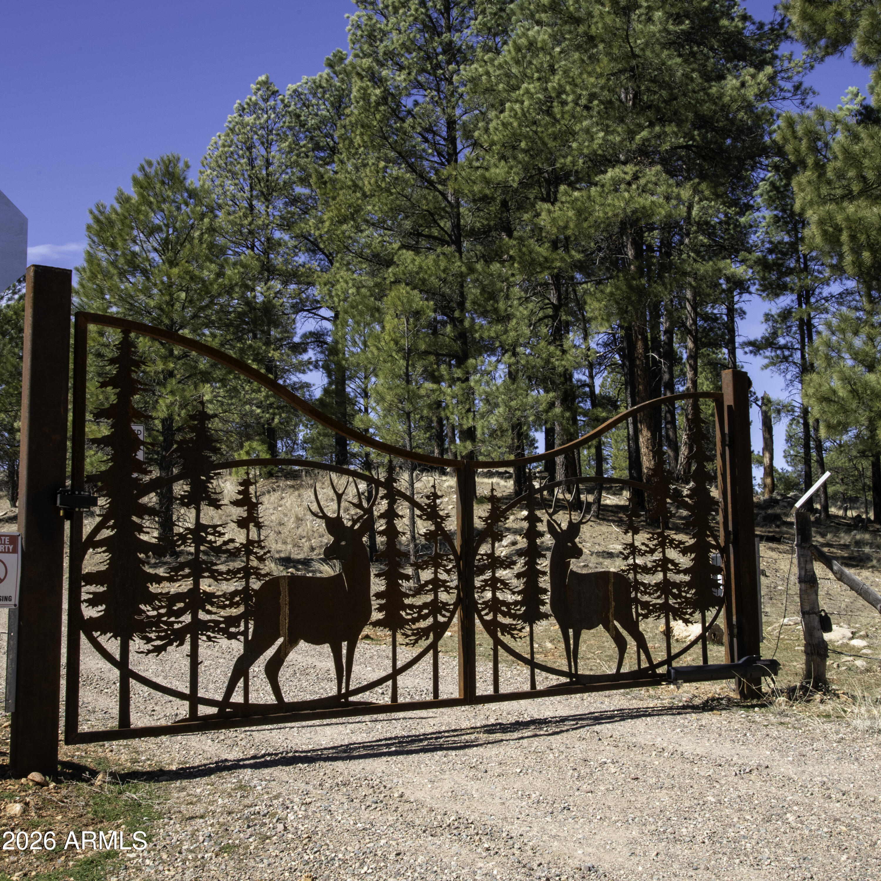 7770 Forest Service 122 Rd. Tract 6 -- 6A