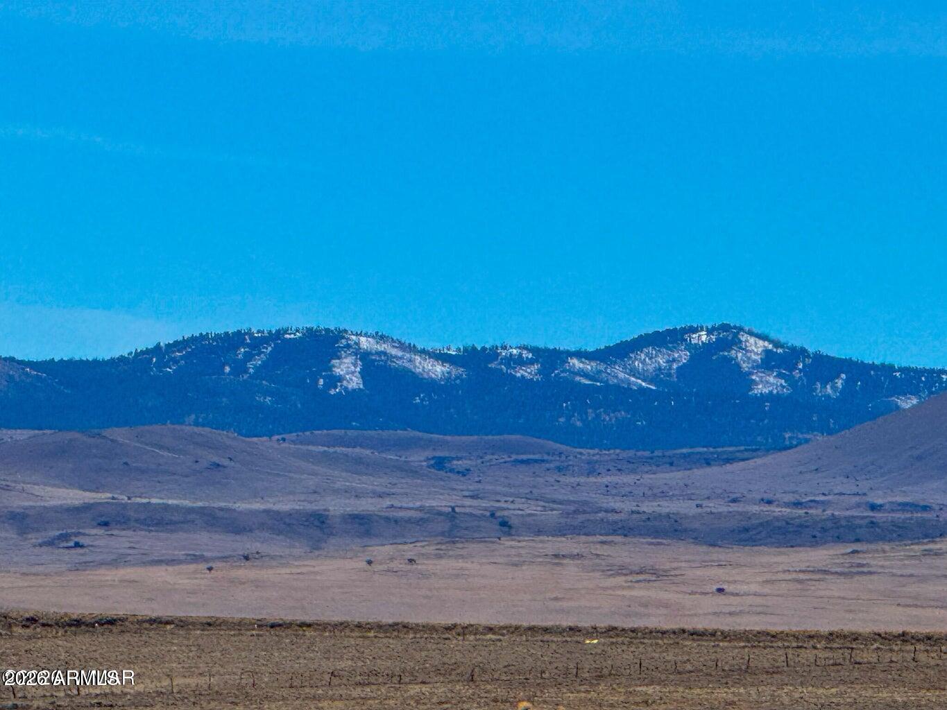 0 Co Rd 4008 (25 Acres) -- -
