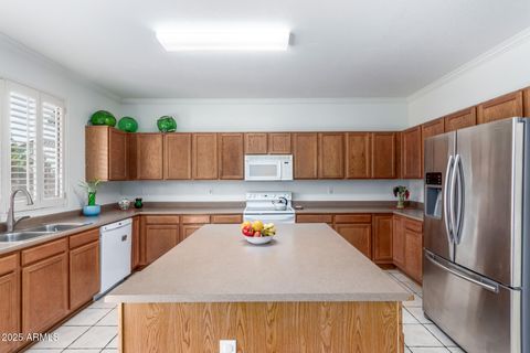 10355 W WILLOW Lane Avondale AZ 85392