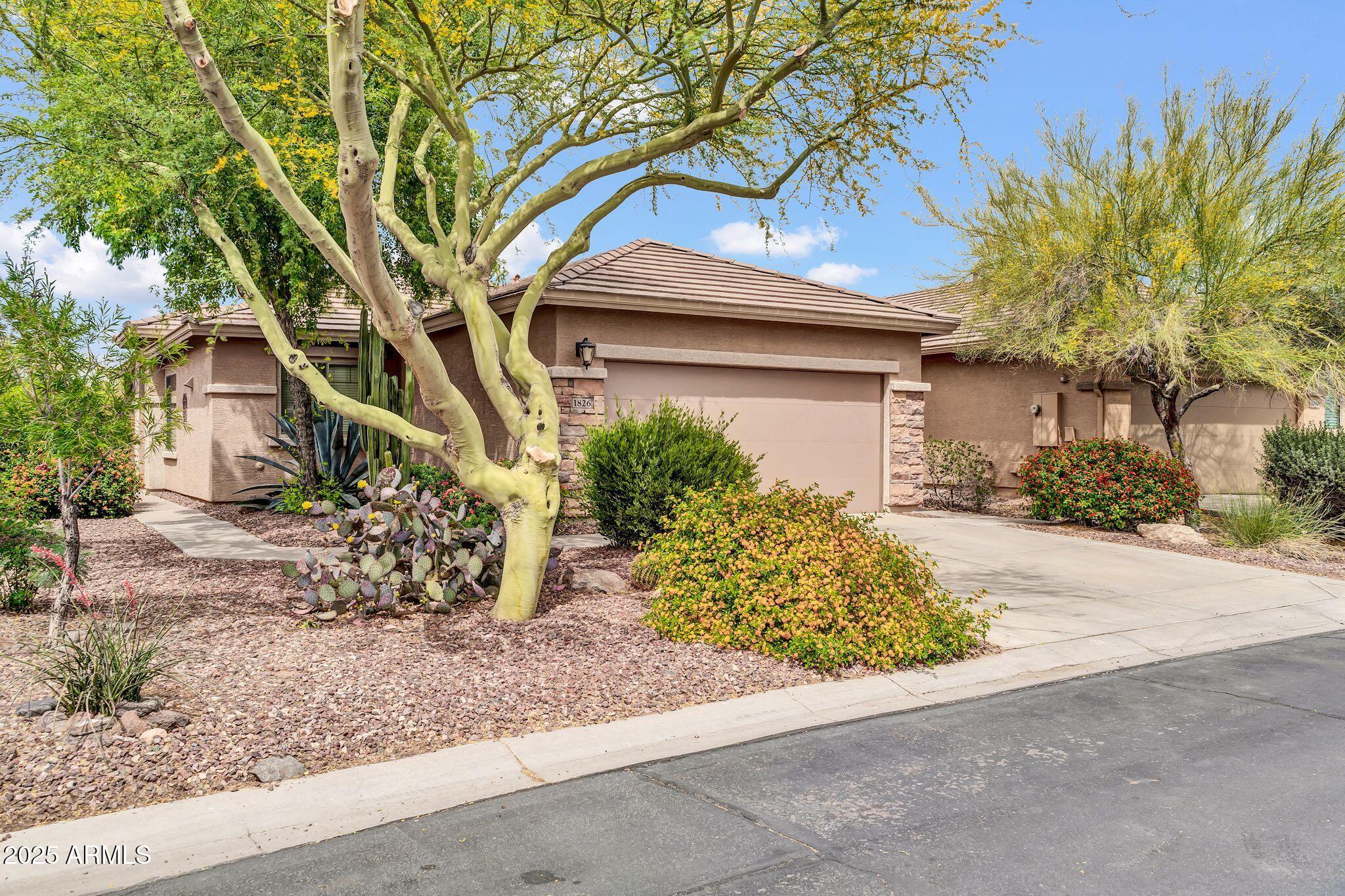 1826 W MORSE Drive