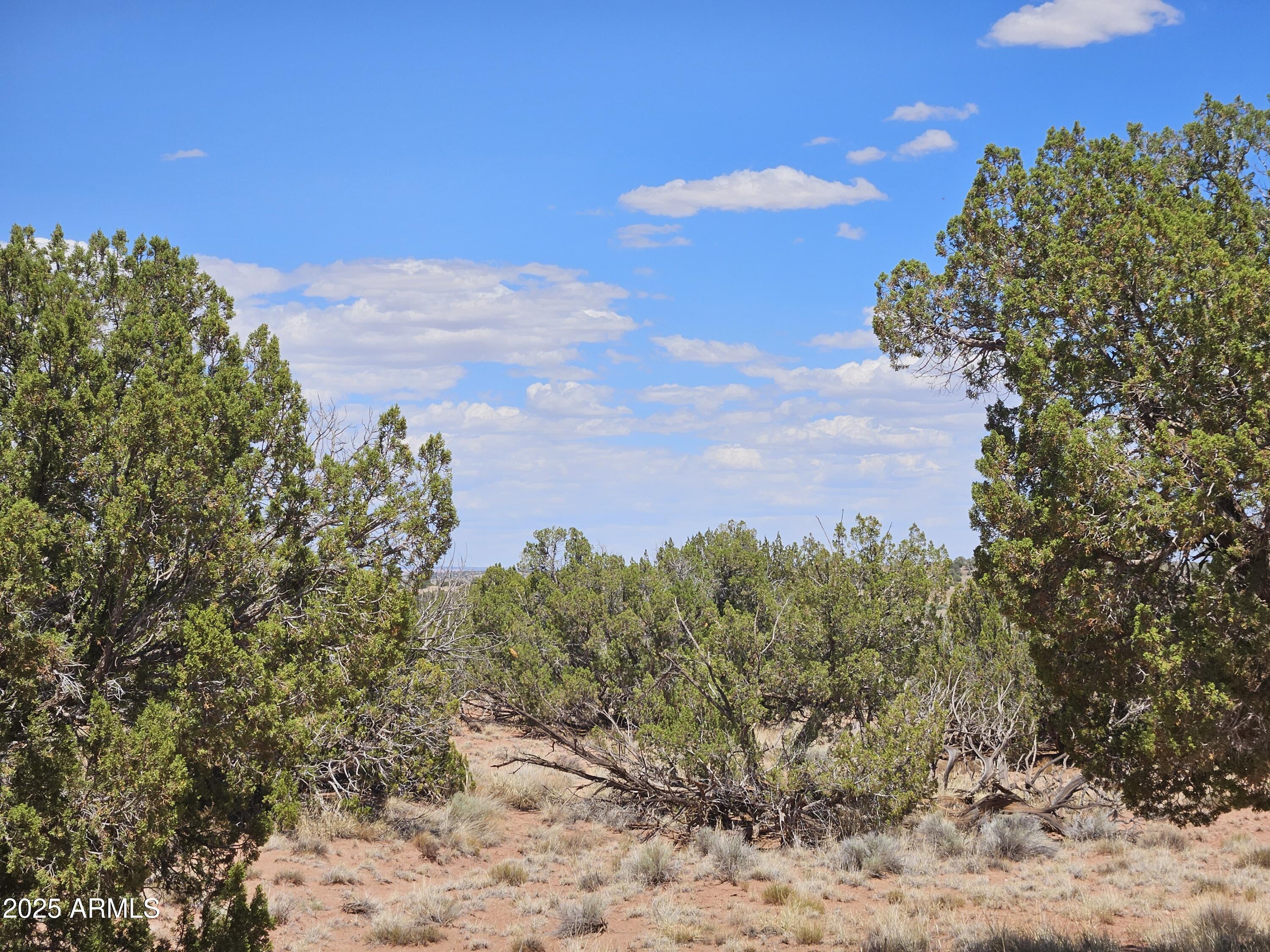 RANCH OF THE WHITE MOUNTAINS UNIT A1 - Land