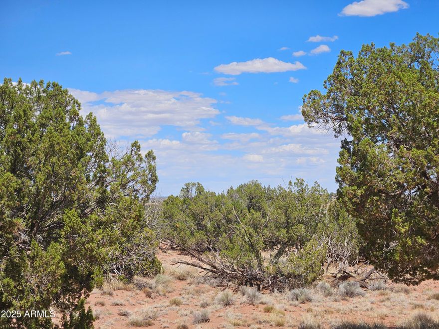 Gorgeous acreage with views, flat and hilly for building and four wheeling.  Views in every direction.  Star studded nights and peaceful days are in your future.  Come see.